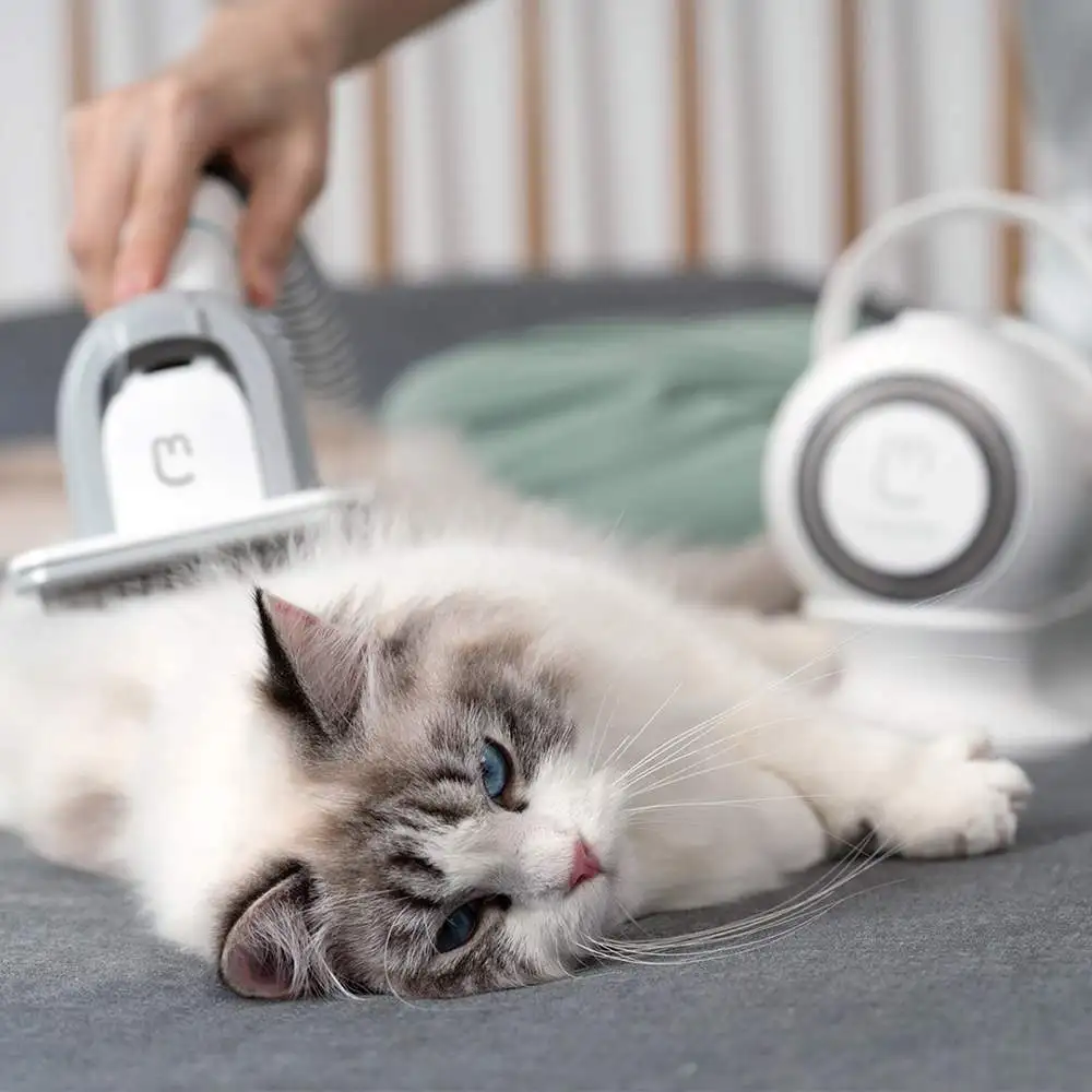 Peine el&eacute;ctrico multifuncional para mascotas, recortador de pelo con hilo, productos para mascotas, juego de aseo para gatos y perros-3