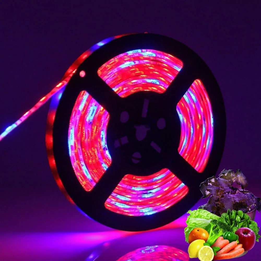 Фитоламсветильник светодиодная полного спектра для выращивания растений 5 м 5050