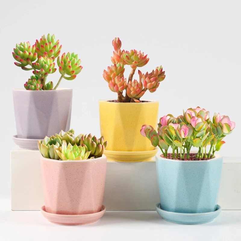 

Korean Ins Macarone Sand Glaze Ceramic Succulent Flowerpot With Tray Mini Green Plant Potted Home Balcony Creative Gardening