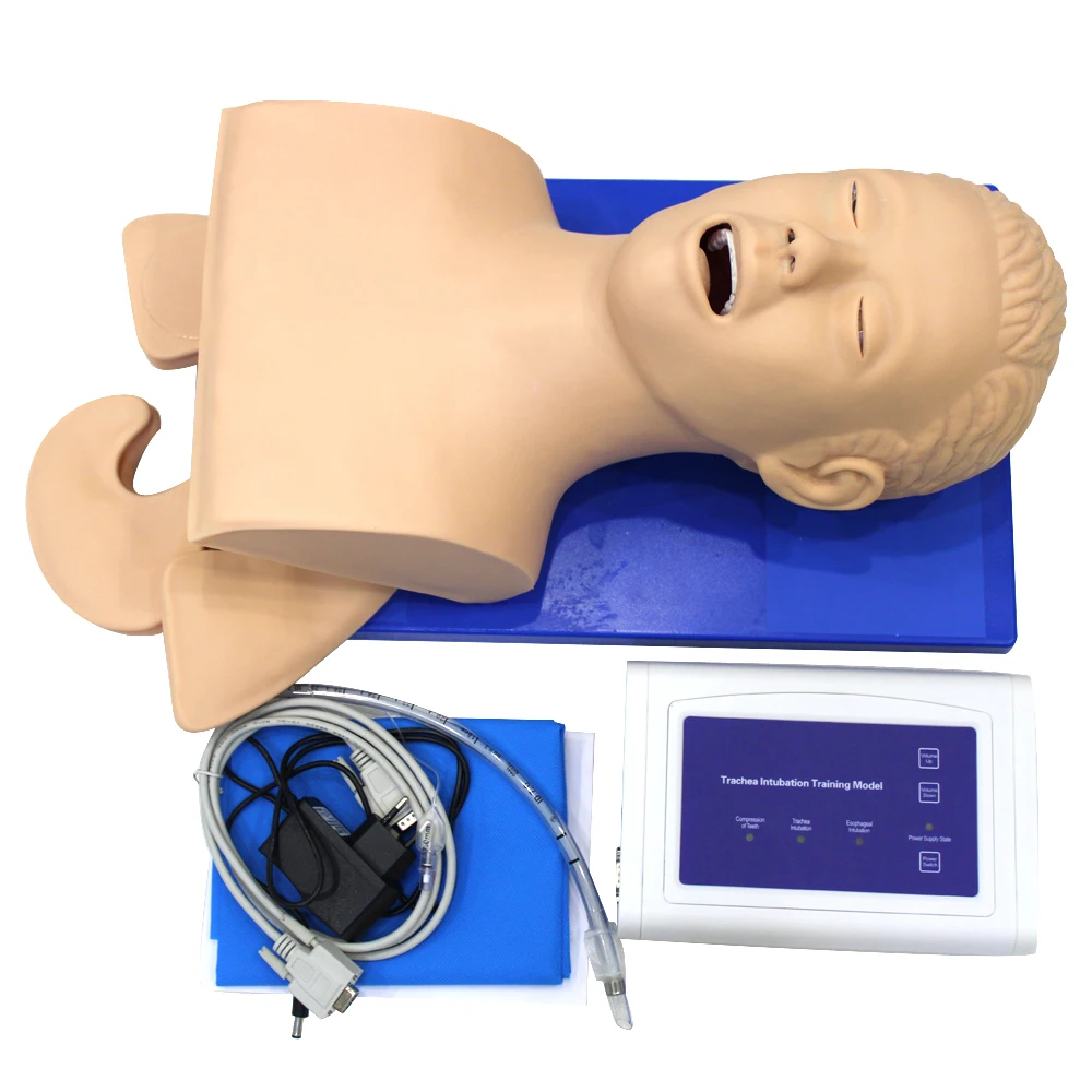 Intubation Manikin Учебная модель Airway управление тренажер ПВХ с зубами