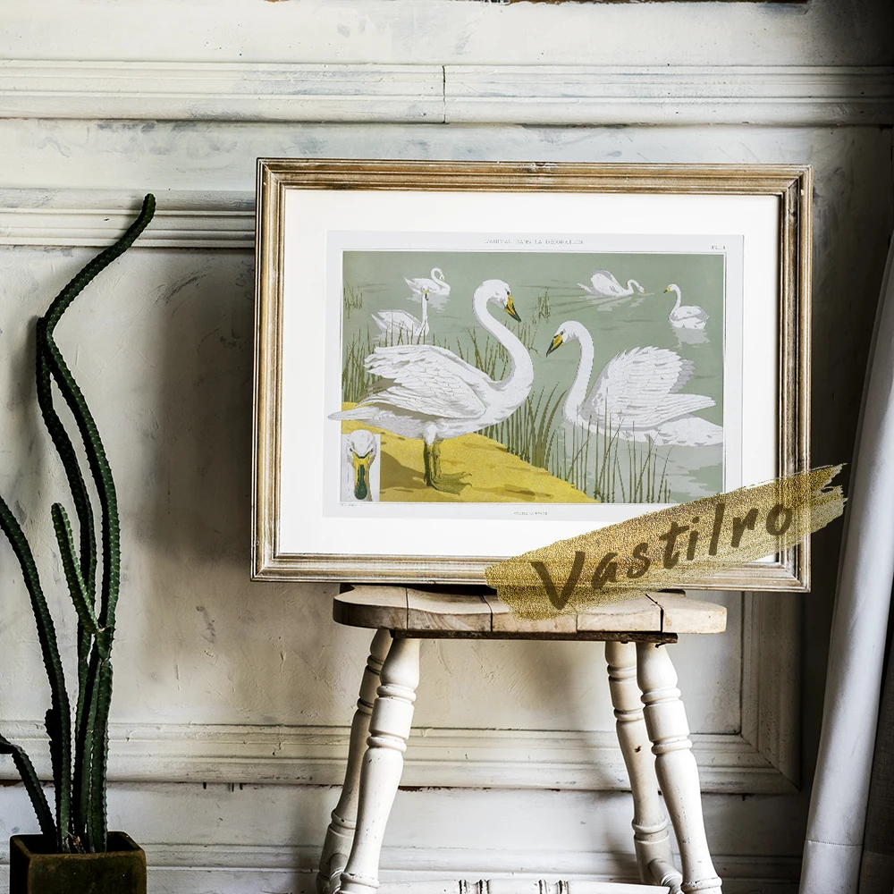 Настенная картина Vastilro Maurice Pillard Verneuil Cygne Sauvage