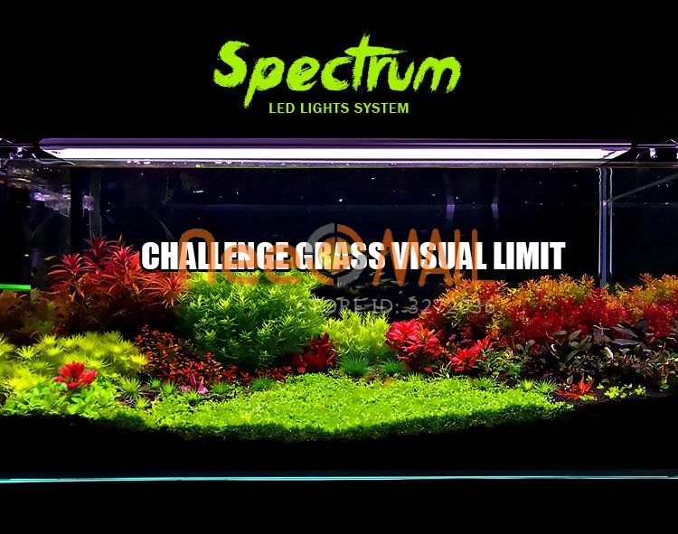Chihiros светодиодный светильник для аквариума RGB водяная Светодиодная лампа для роста растений стиль ada Sunrise Sunset аквариум рыбный Риф Морской танк
