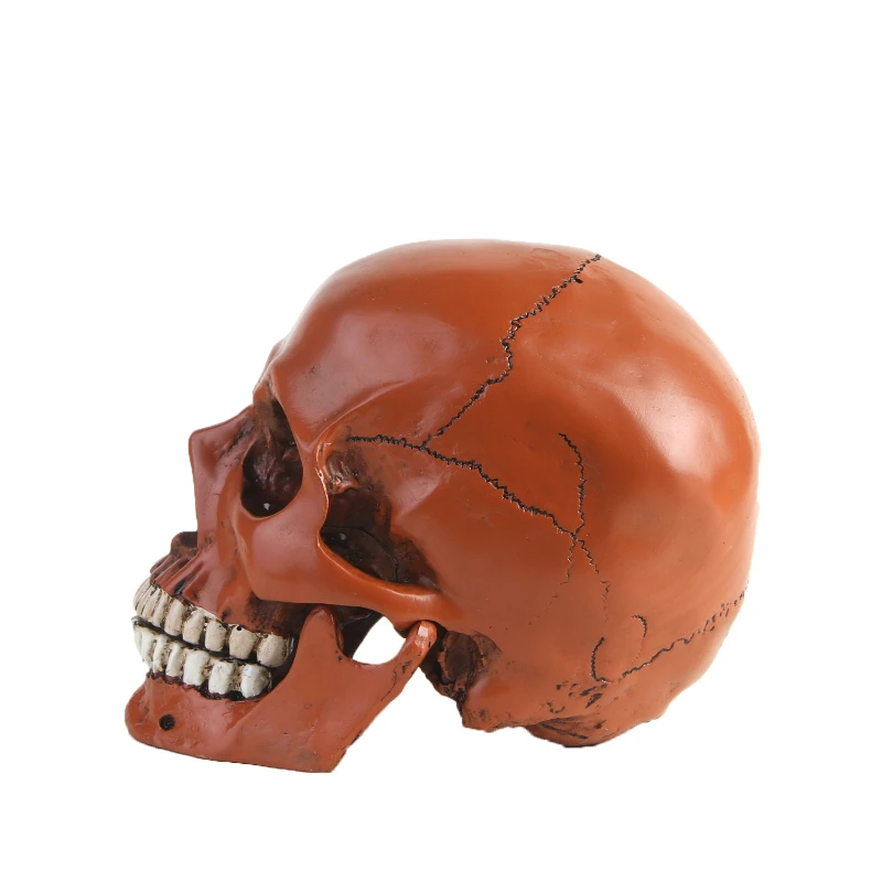 Статуя черепа человека для домашнего декора статуэтки из смолы украшение на
