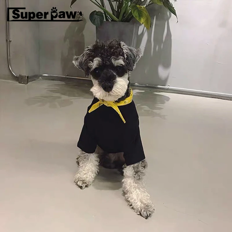 Модная летняя футболка корги шнауцер жилет одежда для домашних животных собак