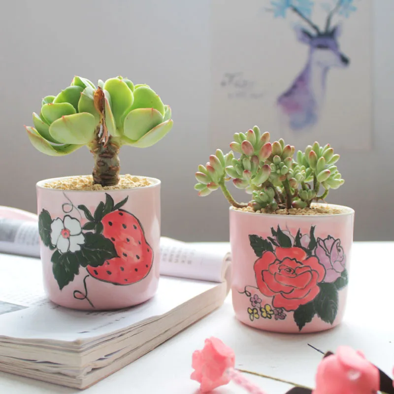 Set of 4 Hand-painting Flower Pots Floral Design Ceramic Planter Succulent Plant Mini Bonsai Home Garden Desktop Decoration | Дом и сад