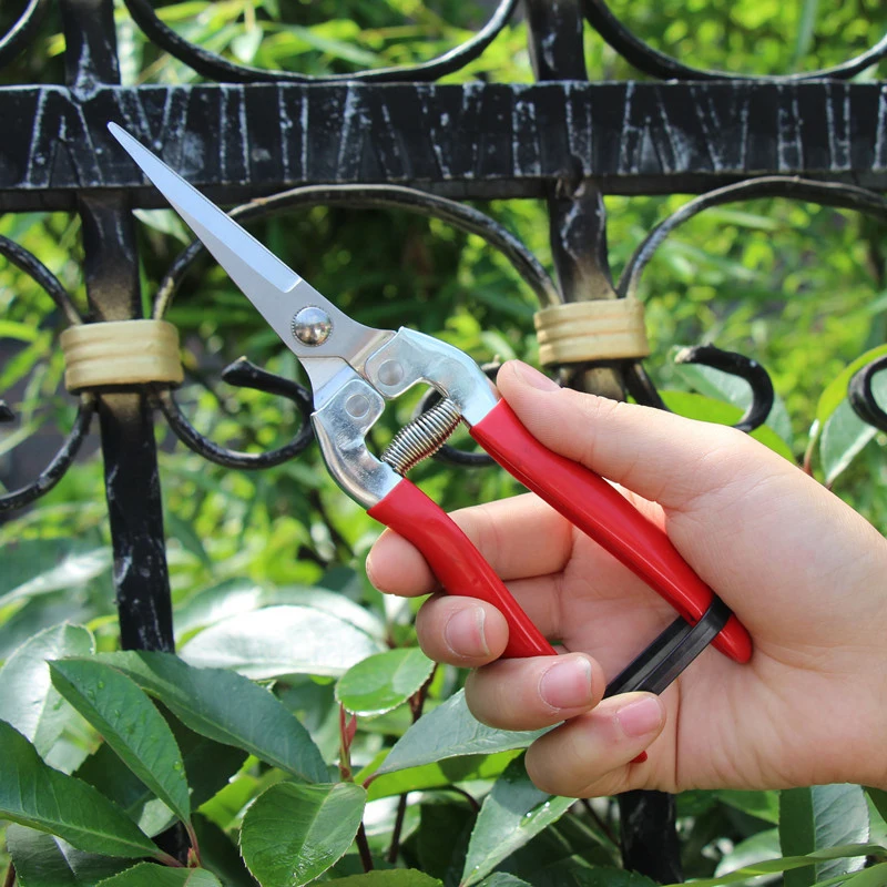

Stainless Steel Tree Pruning Garden Shears Grass Fruit Cutter Gardening Scissors Branch Pruners Garden Pruning Scissors