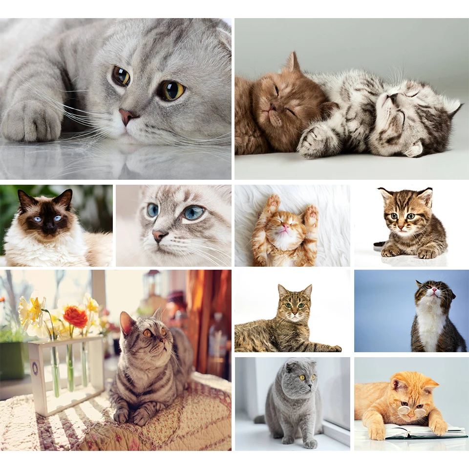 Алмазная живопись 5D сделай сам Набор для вышивки крестиком с животными алмазная