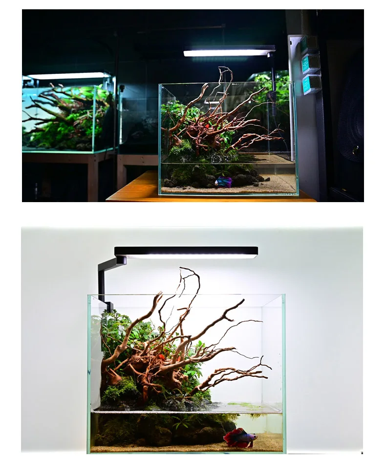 

New Chihiros C2 C II series ADA style Plant grow LED light mini nano clip aquarium fish tank blue tooth sunrise sunset