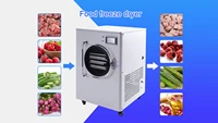 mini small food vegetable fruit home homemade household vacuum lyophilization freeze drying dryer machine equipment