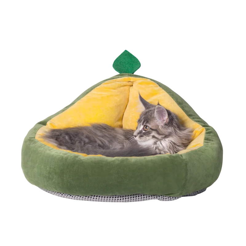 

Кровать для кошки в форме авокадо, кровать-подушка для собаки, Современная зеленая спальная пещера, уютный дом, гнездо для домашних животных...