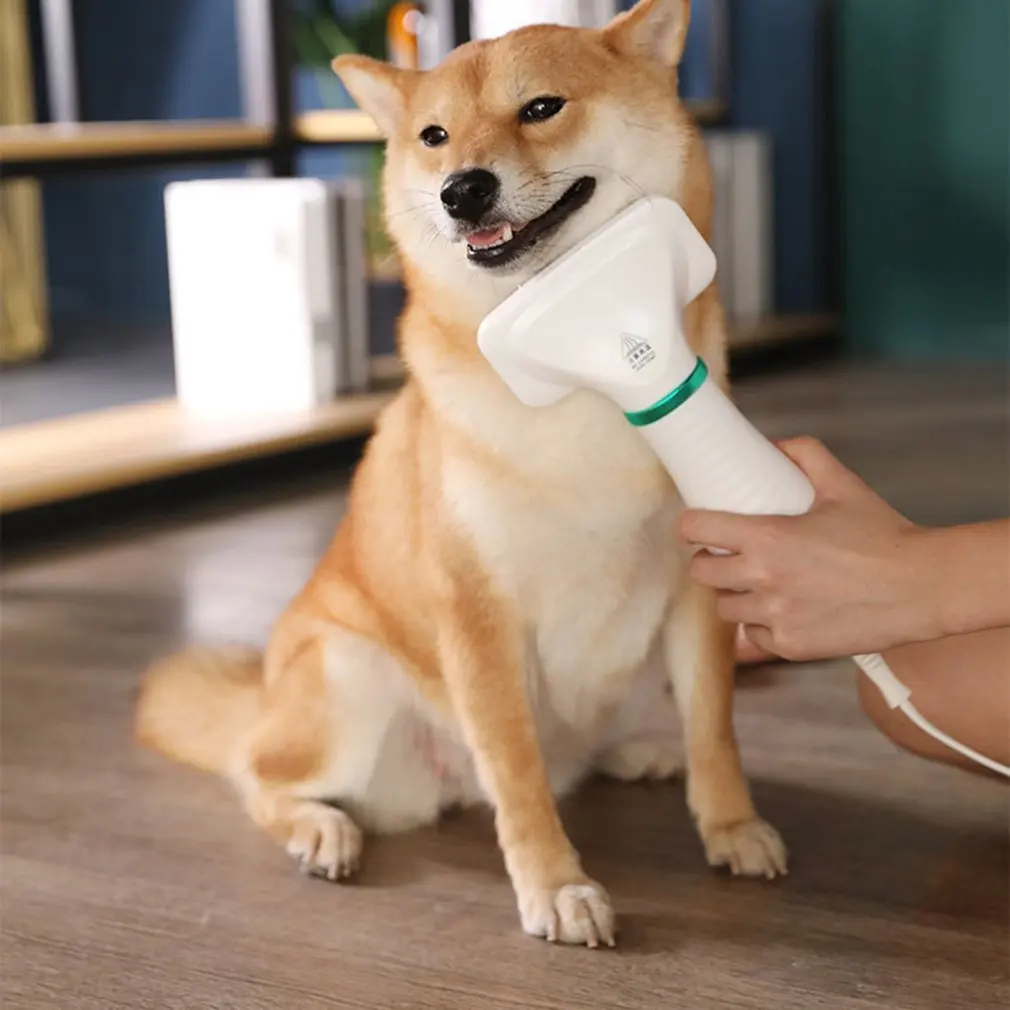 

Pet Cat And Dog Hair Dryer Hair Comb Two In One Hot Wind Portable Hair Dryer Pet Comb Brush Low Noise