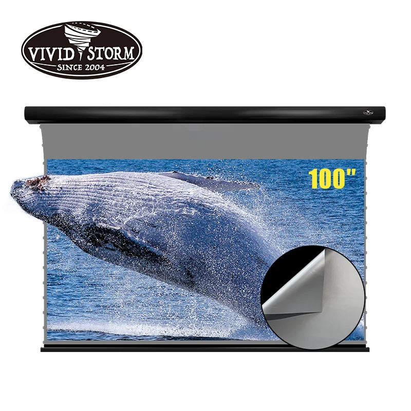 VIVIDSTORM 100 дюймовый Электрический потолочный экран проектора 3D обсидиановый