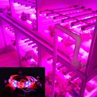Световая лента для выращивания цветов, фитолампа полного спектра для теплиц, гидропонных систем, короб для выращивания растений, светильник м, 2 м, 3 м, 4 м, 5 м, 12 В