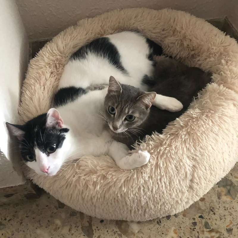 

Round Cat bed Long Plush Soft Pet Bed House Cat Kennel Dog Cat Winter Warm Sleeping Bag Puppy Cushion Cat Supplies Washable