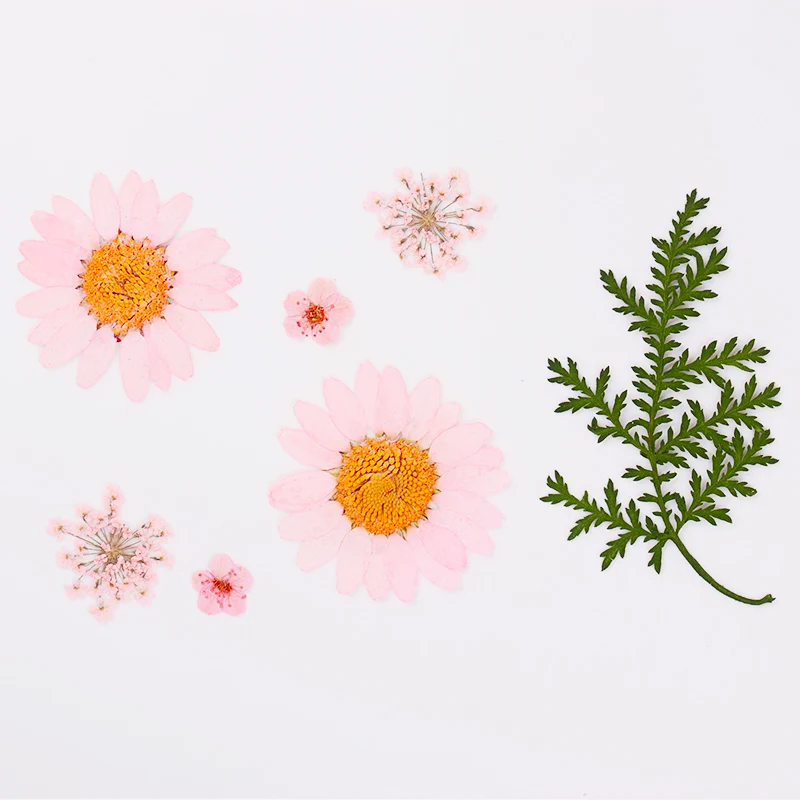 Сушеные цветы украшения для ногтей натуральные цветочные 3D сухие гортензии