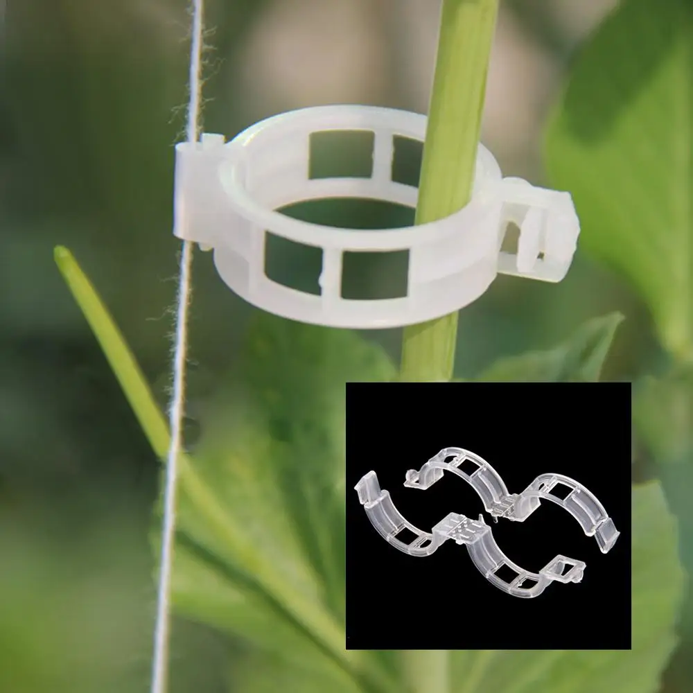 100x поддерживающие зажимы для садовых растений помидор овощей решетчатых теплиц |