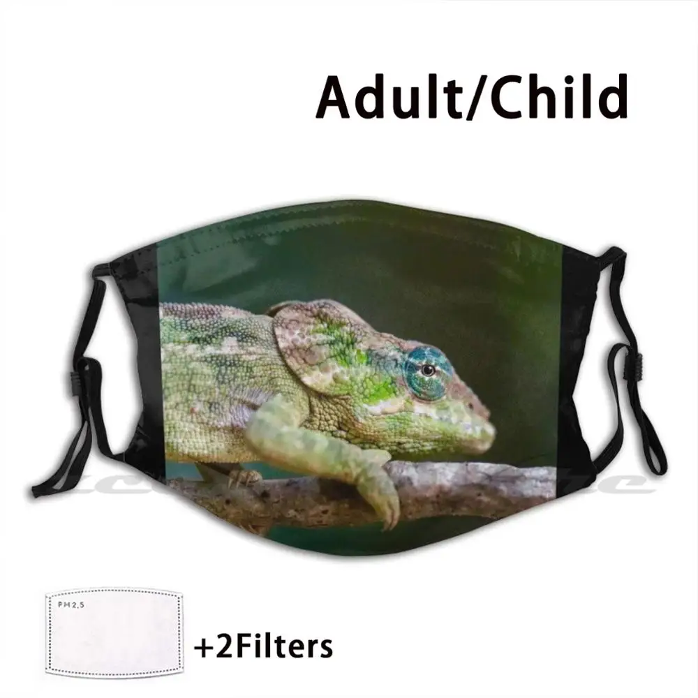 

Chameleon Mask Adult Child Washable Pm2.5 Filter Logo Creativity Chameleon Madagascar Chameleon