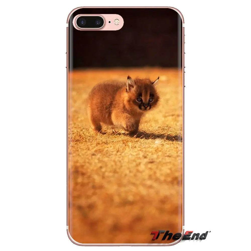 Для Xiaomi Redmi 4A S2 Note 3 3S 4 4X5 6plus 7 6A Pro Pocophone F1 прозрачный мешок TPU чехол Африке Рысь