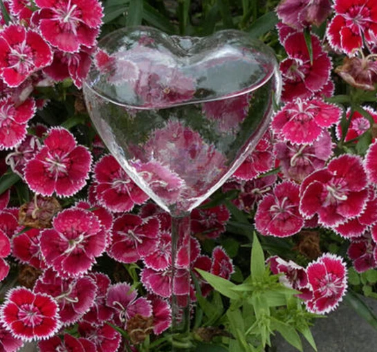 Новое поступление модная 1 шт. стеклянная кормушка для растений цветов самополив