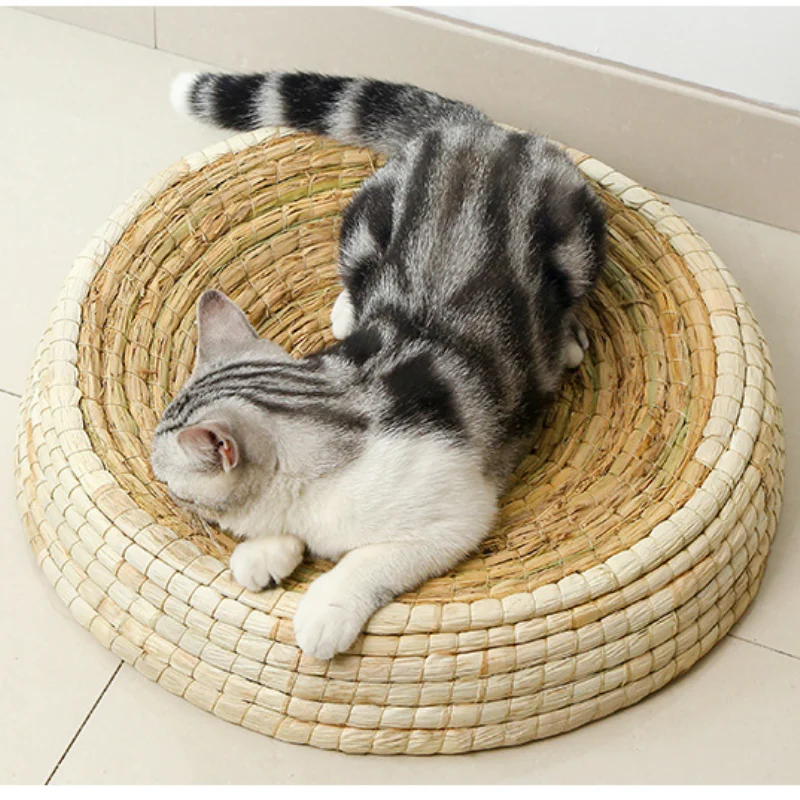 

Summer Comfortable Cat Bed Unique Creative Cool Modern Cute Nordic Cat Bed For Indoor Gatos Accesorios Pet Furniture EI50MW