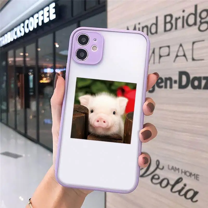 

pet pig Cute animal art Phone Case matte transparent For iphone 7 8 11 12 plus mini x xs xr pro max funda cover