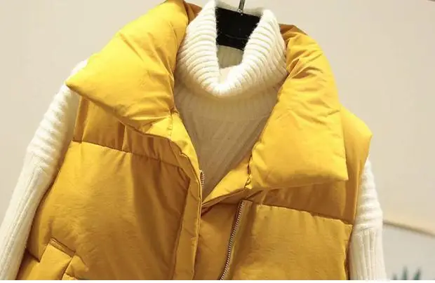 Повседневная Женская одежда в Корейском стиле на осень и зиму теплый жилет с