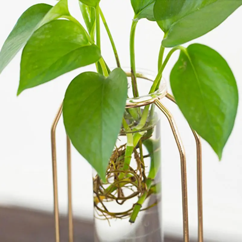 Скандинавская стеклянная ваза в виде кювета Современная позолоченная железная