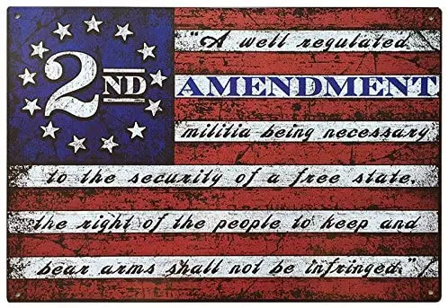 

This Well Defend 2nd Amendment Brand Vintage American Flag Tin Sign 11" x 16" USA Second 2A Man Cave Decor