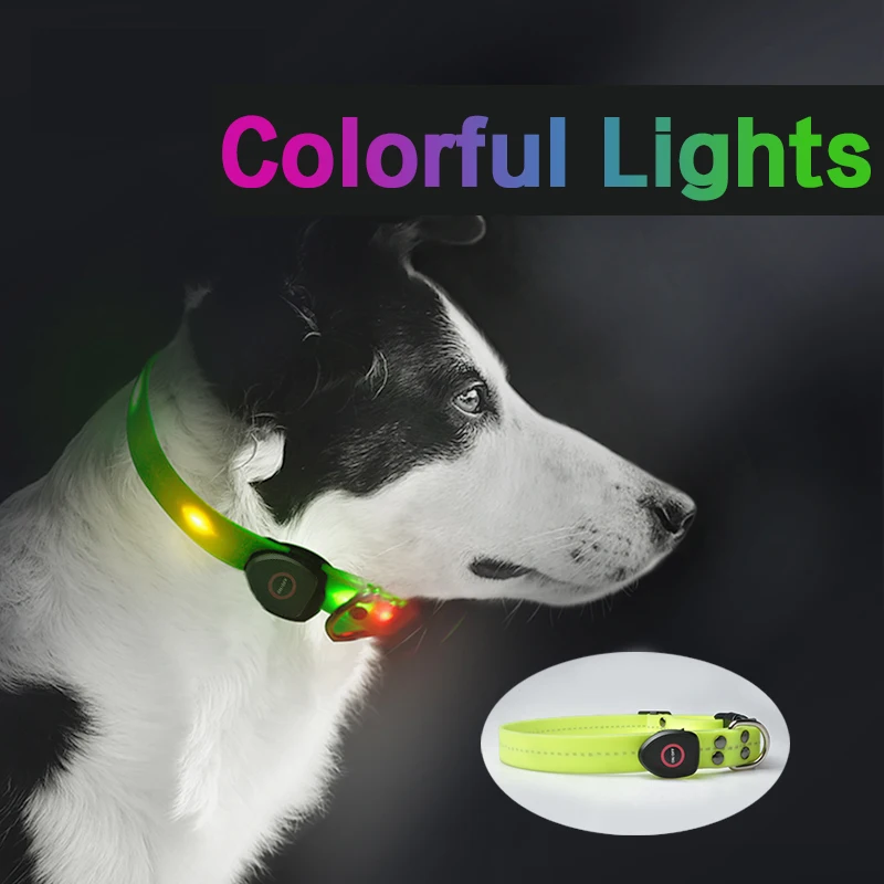 

Pet dog cat Collar USB Rechargeable Flashing LED Light safety Luminous for small big Dogs Chihuahua husky dog collars supplies