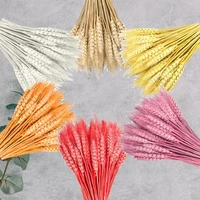 50pcs wheat ear flower natural dried flowers for wedding party decoration diy home table wedding christmas decor wheat bouquet
