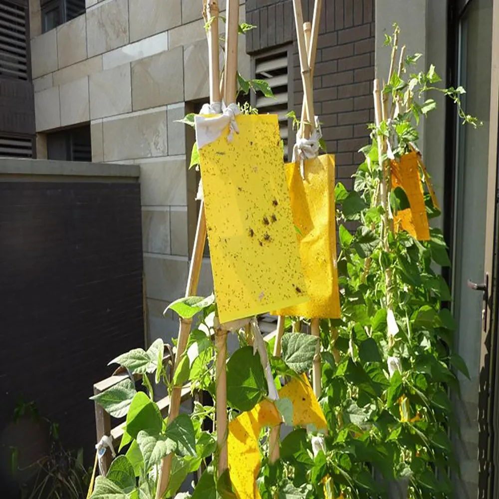 3 шт. клейкая бумага для устранения мух насекомых Жуков домашняя клеевая ловушка