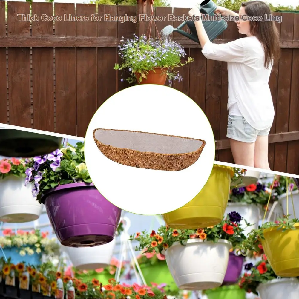 

Thick Coconut Basket With Coconut Lining Set For Hanging Plant Baskets Multi-size Coconut Shell And Insulation Lining