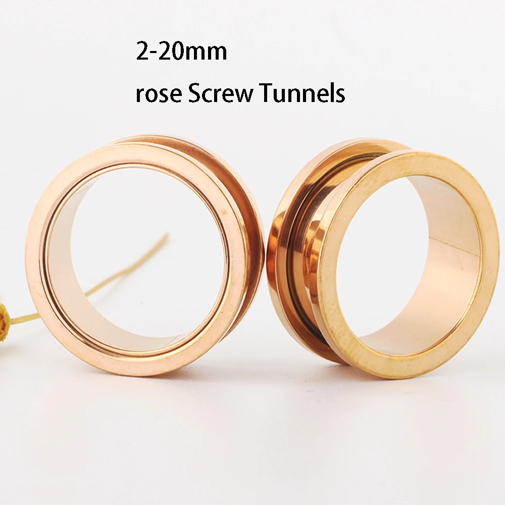 2-20mm Rose Gold Screw Ear Tunnels Stainless Steel Wholesales Piercing Earrings Plugs Gauges Stretcher Expander Big Gauges 2g 0g