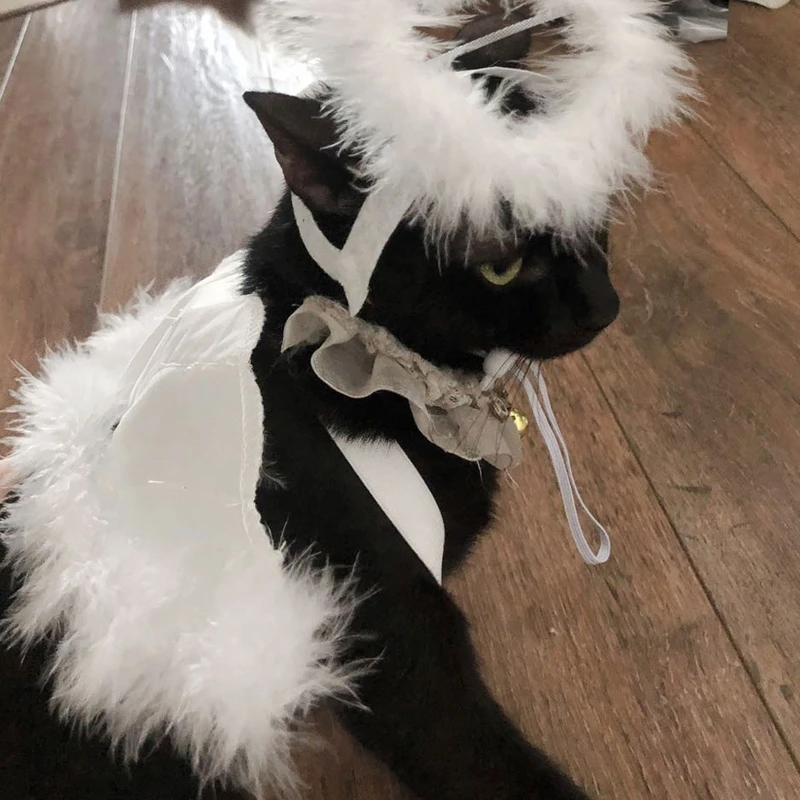 

Pet Costume Accessories Set Dog Cat Feather Angel Halo Wing Halloween Birthday Christmas Gifts Decor Photography Props