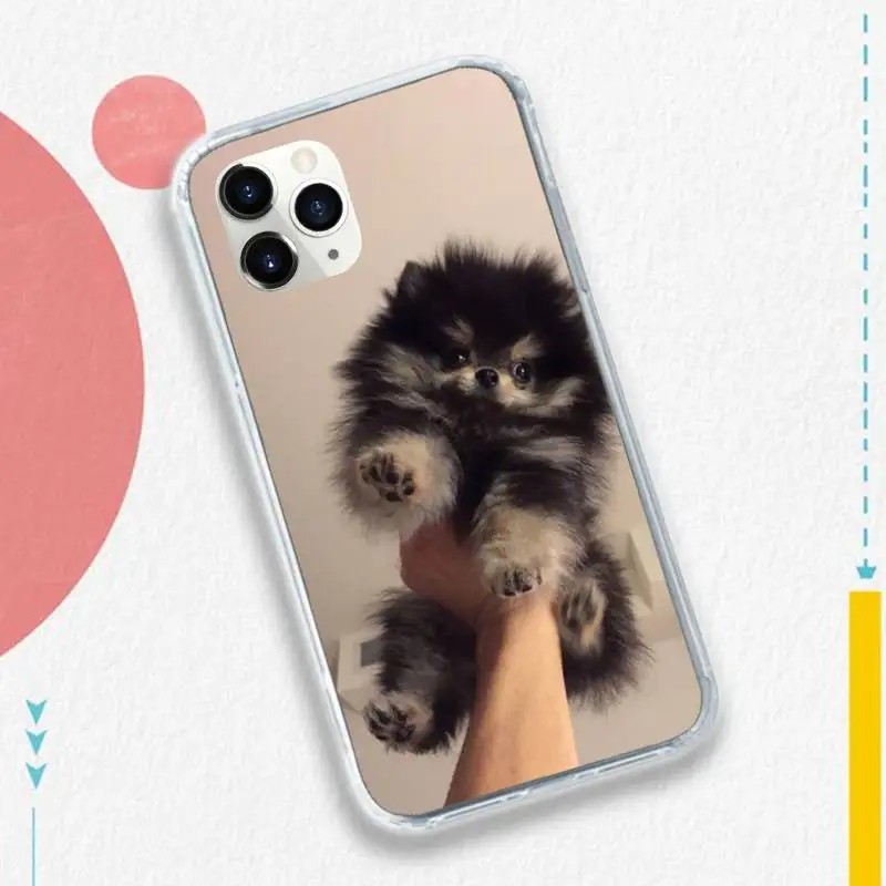 

Pomeranian dog Cute pet Phone Case for iPhone 11 12 pro XS MAX 8 7 6 6S Plus X 5S SE 2020 XR