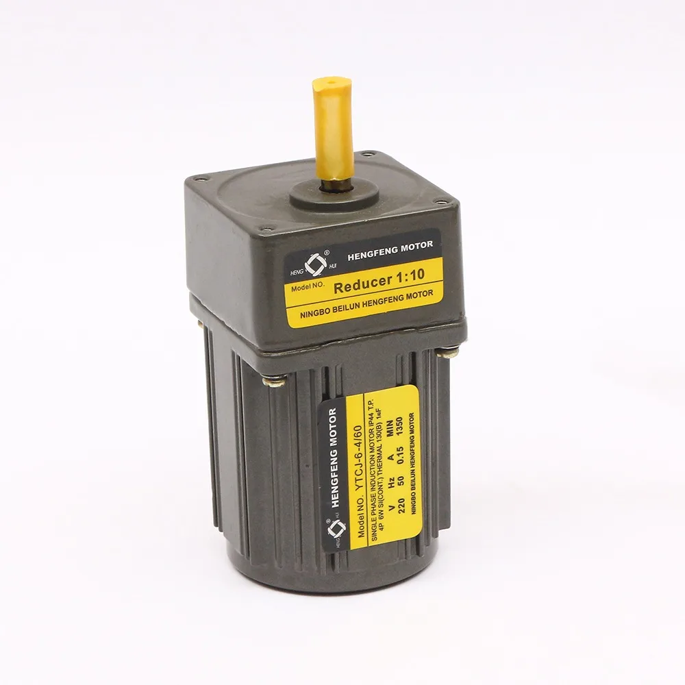 

6W 4 poles Reversible AC Gear Motor with Gearbox Ratio 100:1