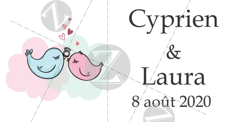 100 Pieces, Wedding Bubble Labels Personalized, Custom, Bubble Wand Wedding Transparent Clear Stickers(no tube - Цвет: 08
