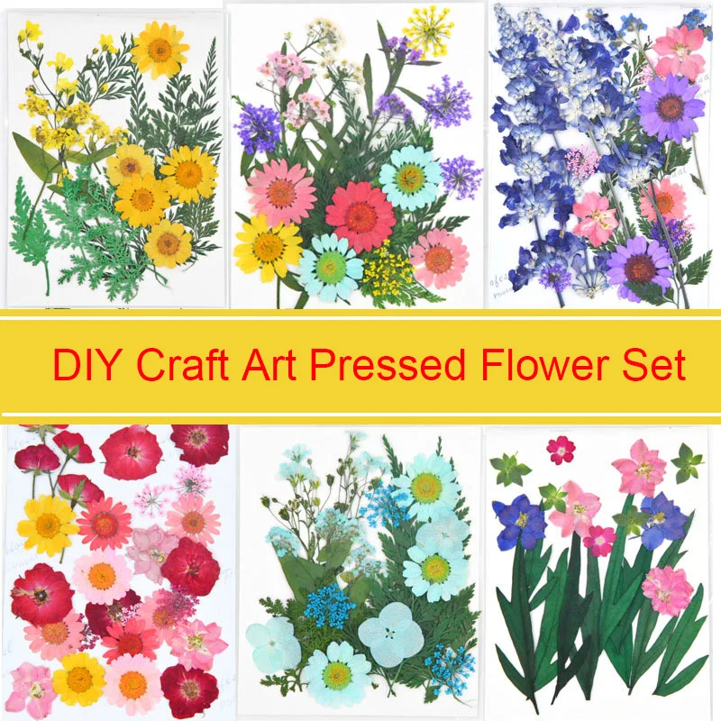 

YUNZHI Mixed Dried Flower Set Pressed Flower DIY Art Floral Decors Jewelry Epoxy Phone Case Face Petal Makeup Scrapbook 22pcs