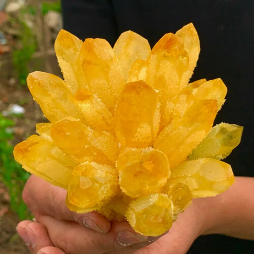 

Newly found yellow phantom quartz crystal cluster ore sample cured