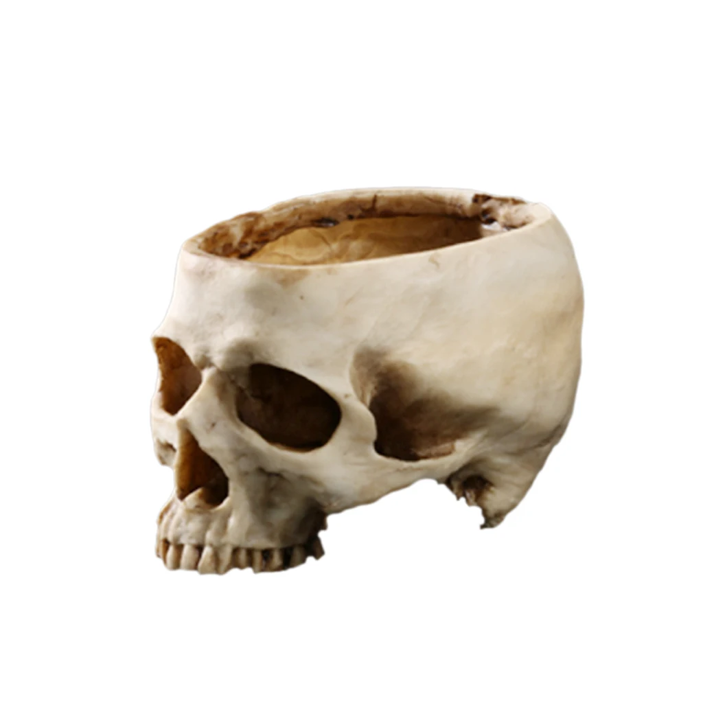 Resin Replica Human Skull Bar Prop Flower Plant Container Bonsai Pot Bed Planter | Дом и сад