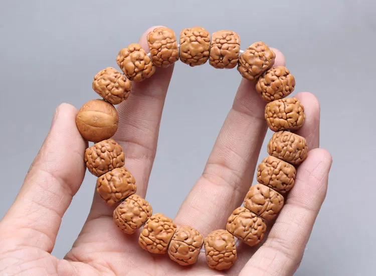 Глаза рудракши и феникса семена Бодхи Тибетский буддизм браслет-амулет |