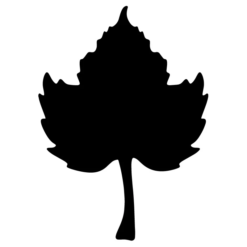 

Декоративные наклейки для фокуса, 11,4x15,7 см