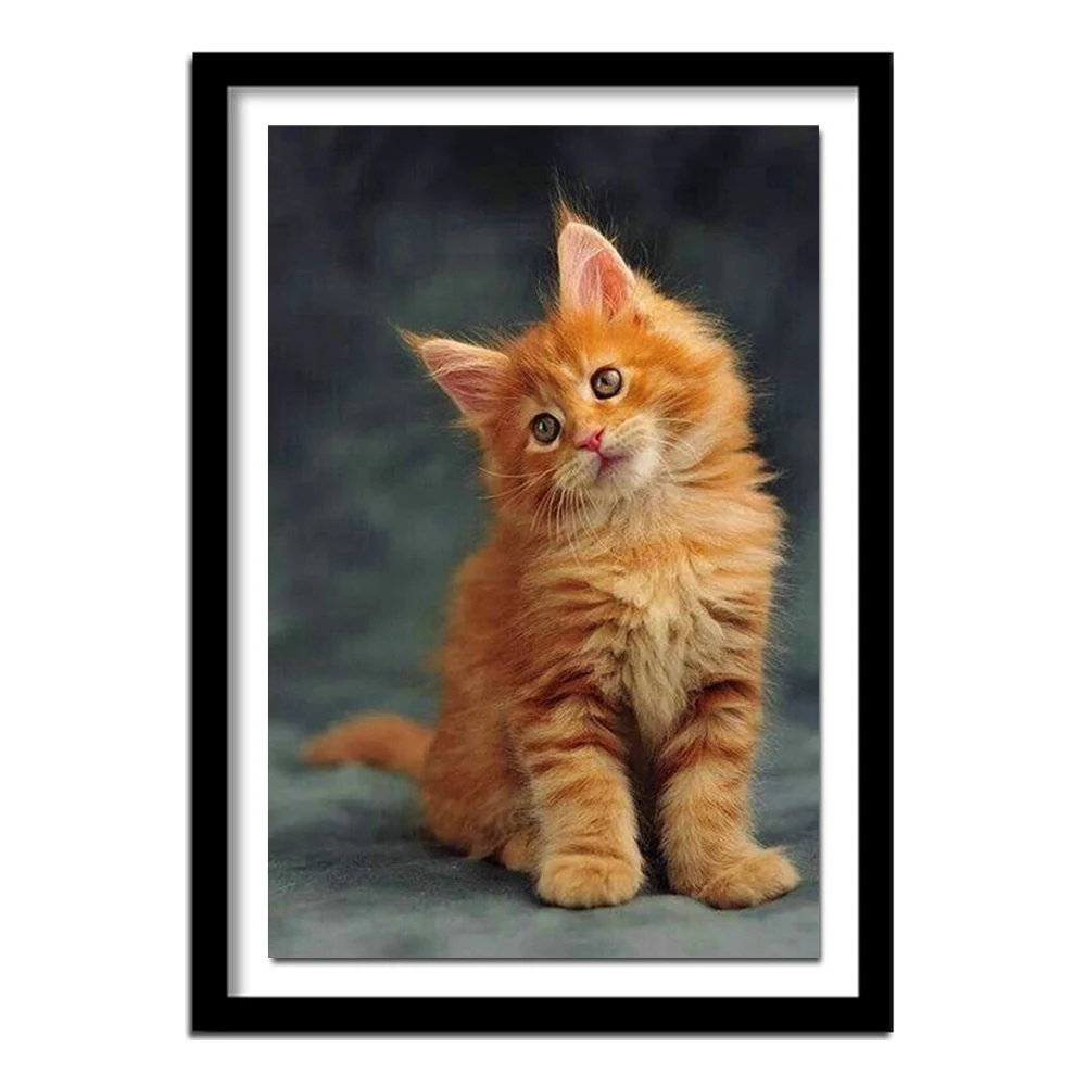 Сделай Сам желтый кот 5D алмазная картина вышивка крестиком вышитая квадратный