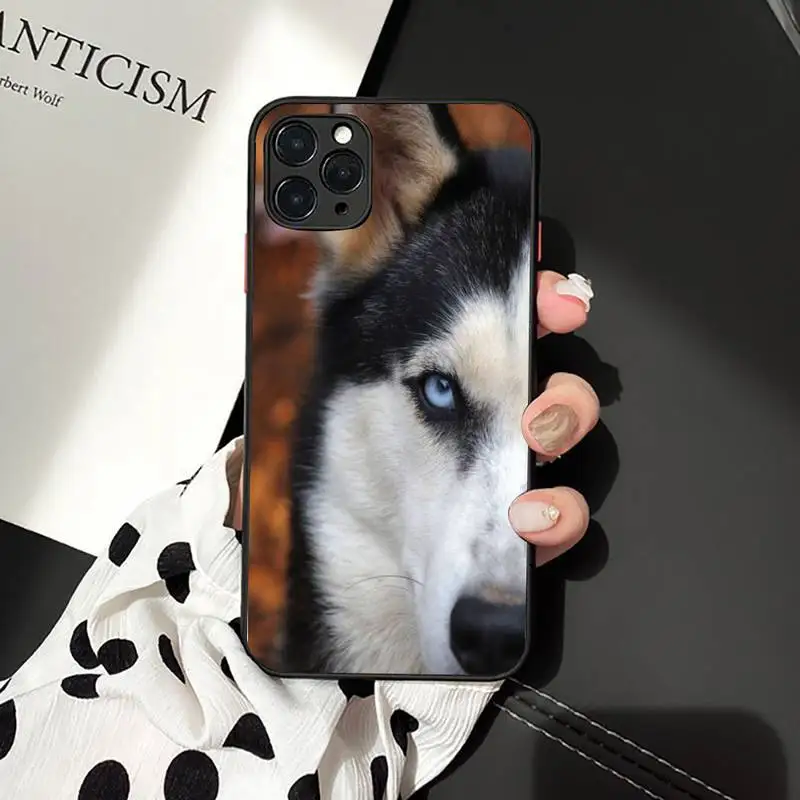 

Animal Dog Husky Phone Case For iPhone 11 8 7 6 6S Plus 7 plus 8 plus X XS MAX 5 5S XR 12 11 Pro max se 2020 Funda Cover