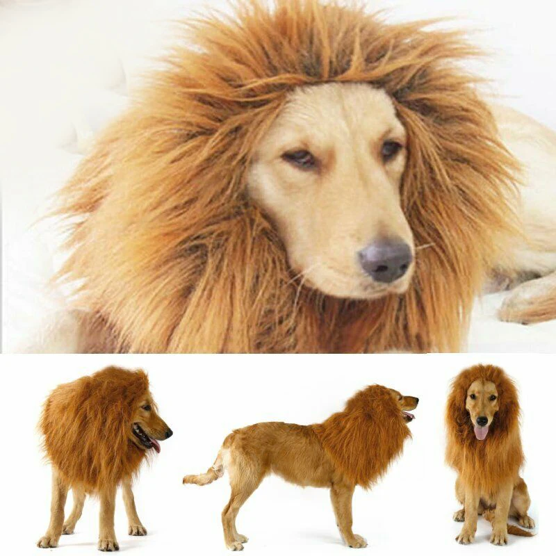 Топ питомец собака Льва грива парик костюм для Хэллоуина нарядное платье