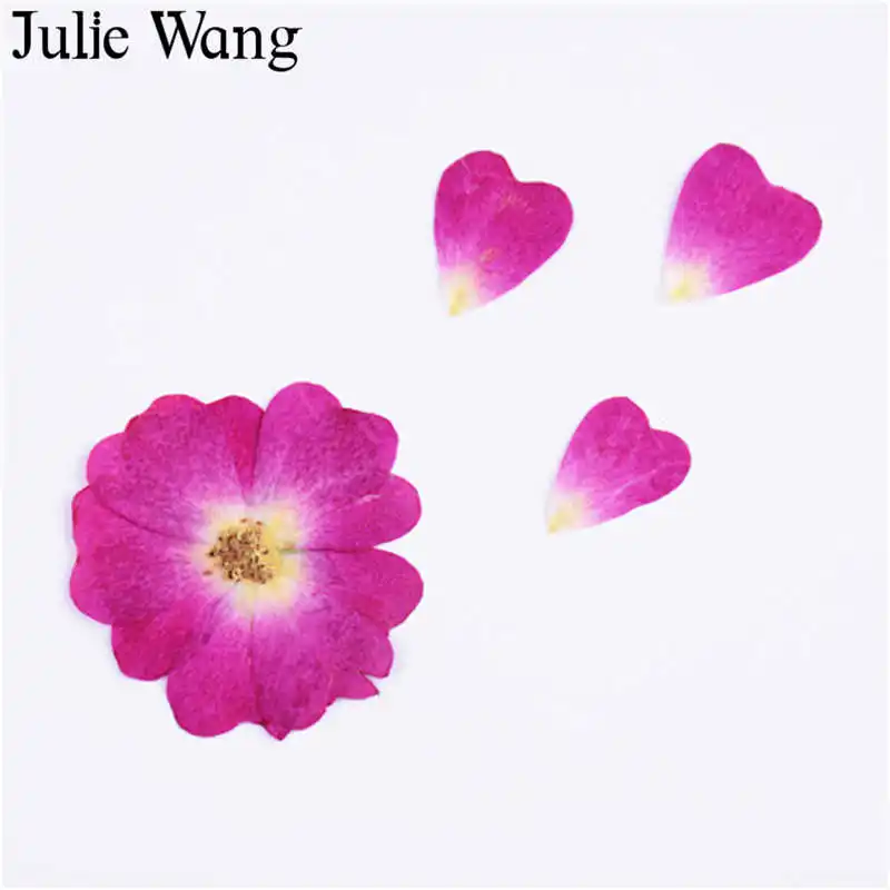 Julie Wang 8 шт. натуральные сухие цветы китайская Роза образец растения эпоксидные