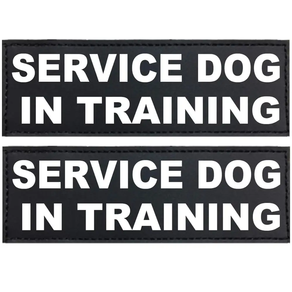 Персонализированная этикетка с именем собаки на заказ 2 шт. бирка самодельная