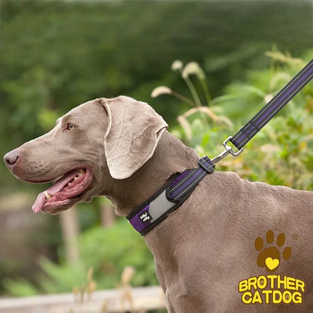 Роскошный нейлоновый собачий поводок с мешками для собак уличный мощный ошейник