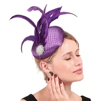 classic chic feather fascinator hair clip hat headband mesh feather bridal wedding veil wedding party new ladies fedora chapeau