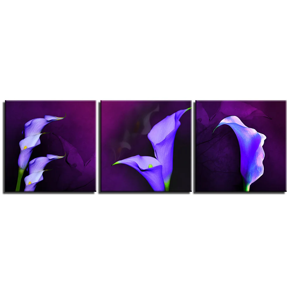 

3 Pieces Canvas Wall Art Pictures Home Decor Framework Abstract Calla Lily Paintings Living Room HD Prints Fashion Art Poster